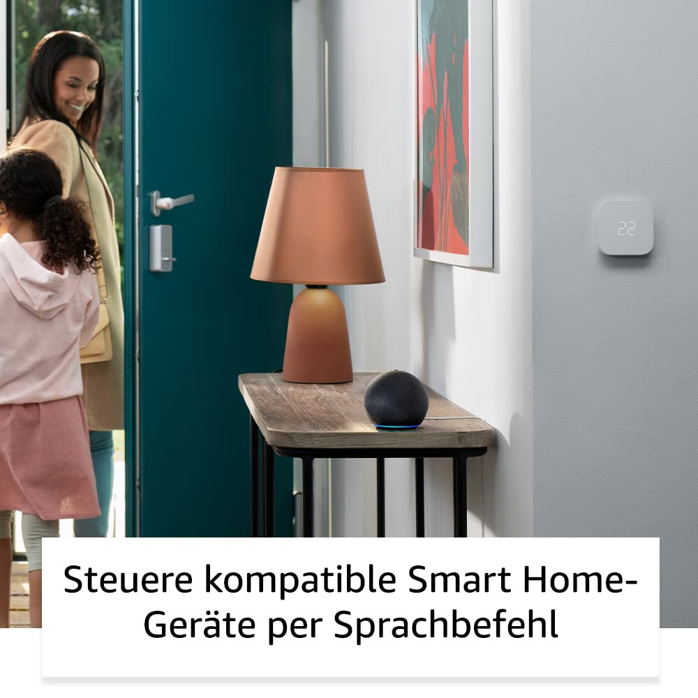 👉 Intelligenter WLAN- & Bluetooth-Lautsprecher mit kräftigem Klang, Sprachsteuerung & kompakter Bauweise – Anthrazit
