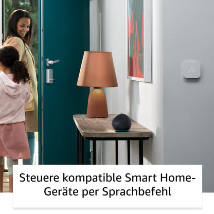 👉 Intelligenter WLAN- & Bluetooth-Lautsprecher mit kräftigem Klang, Sprachsteuerung & kompakter Bauweise – Anthrazit